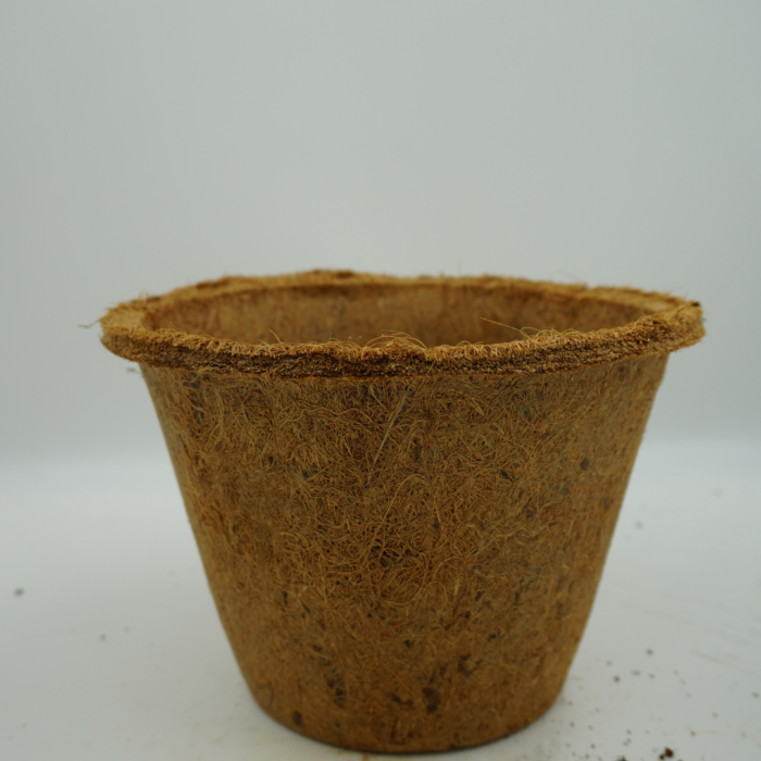 Coir Pot