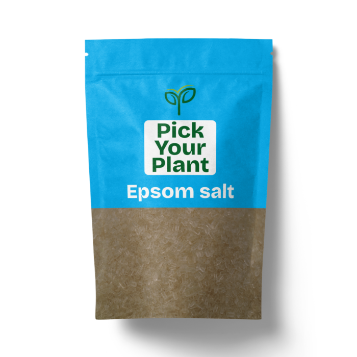 A blue and kraft-colored resealable pouch of "Pick Your Plant Epsom Salt" containing granular white salt, casting a soft shadow on a white background.