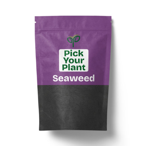 A purple and black resealable pouch of "Pick Your Plant Seaweed" with the company logo, casting a soft shadow on a white background