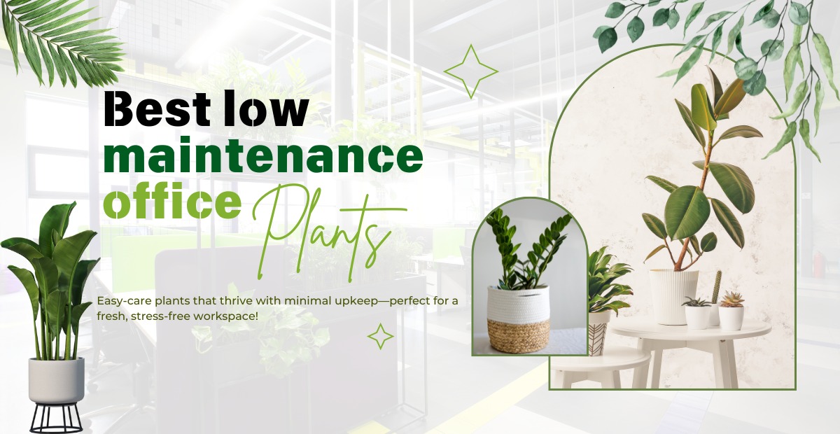 15 Best Low-Maintenance Office Plants