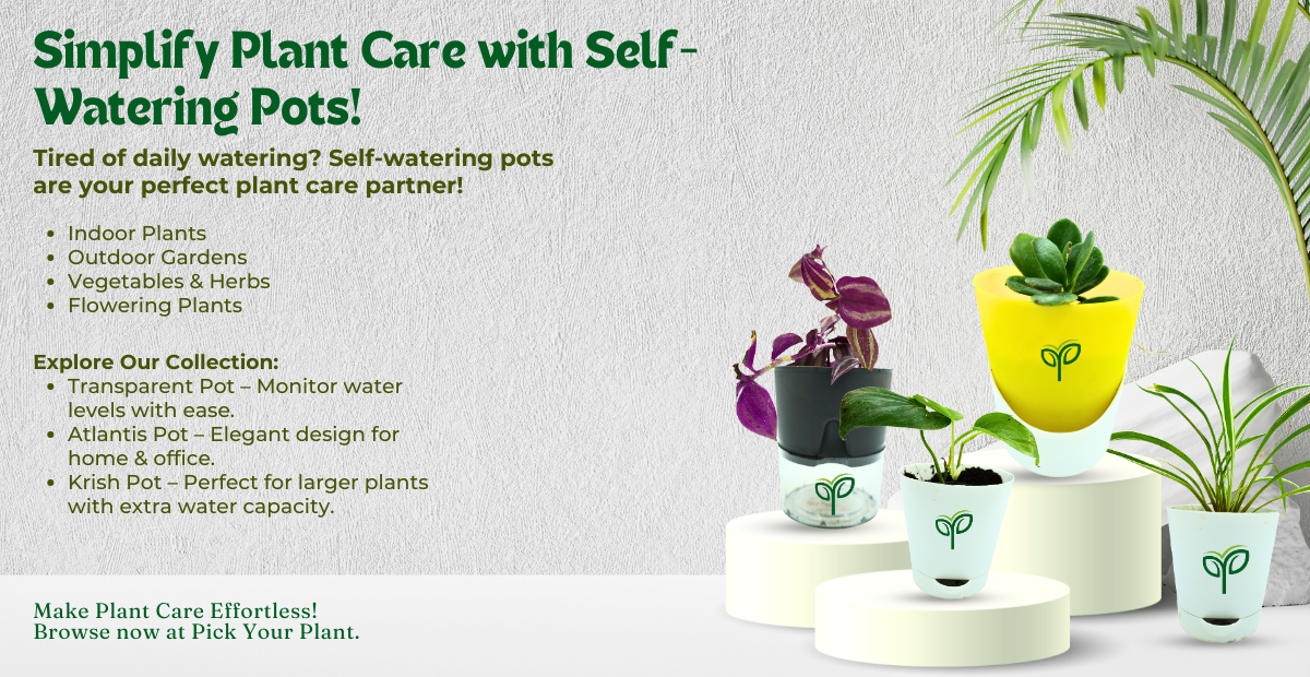 Do Self-Watering Pots Really Simplify Plant Care?