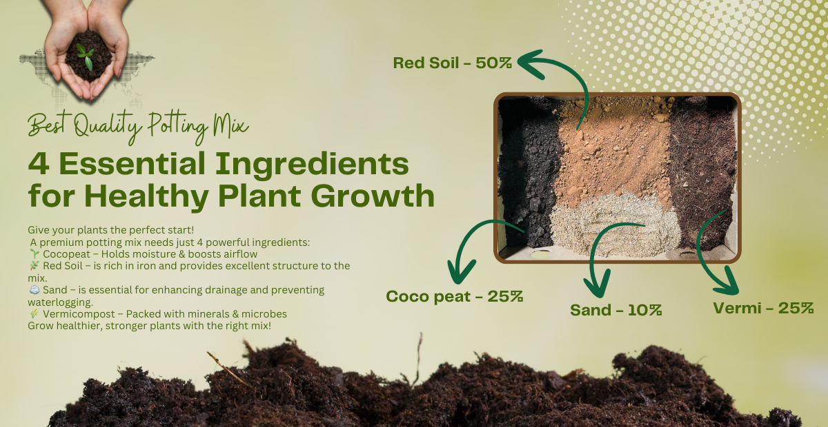 Best Quality Potting Mix With 4 Basic Ingredients