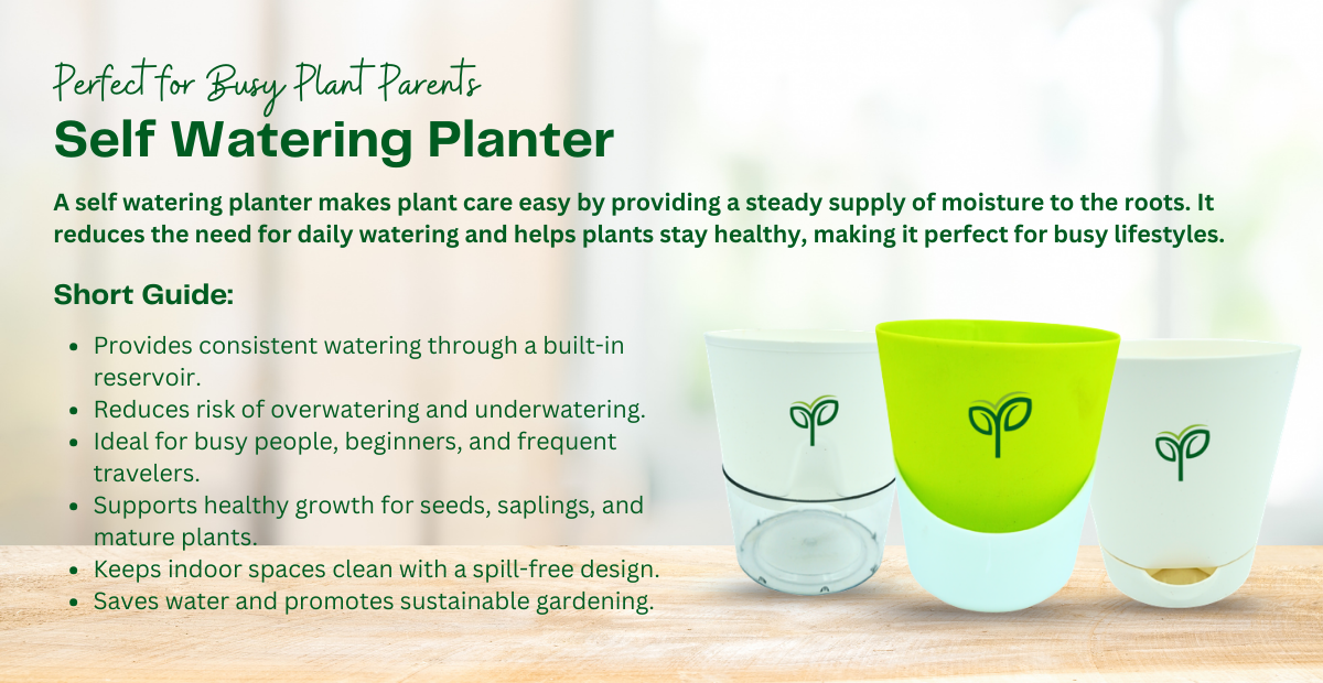 Why This Self Watering Planter Is Perfect for Busy Plant Parents?